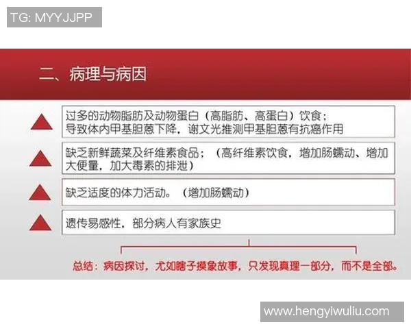 奥林匹克球类项目的魅力与发展探讨及其对全球体育文化的影响