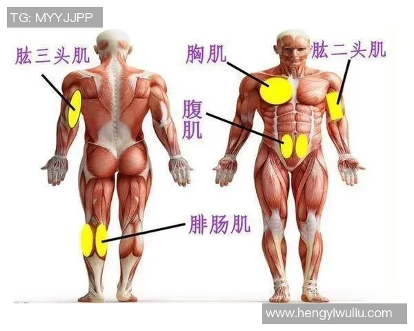 新手如何使用哑铃有效锻炼肱二头肌的全面指南与技巧分享